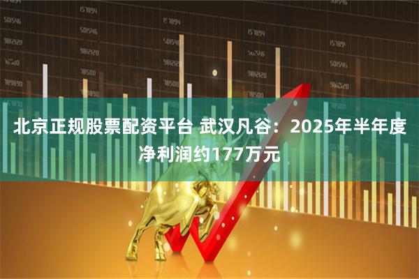 北京正规股票配资平台 武汉凡谷：2025年半年度净利润约177万元