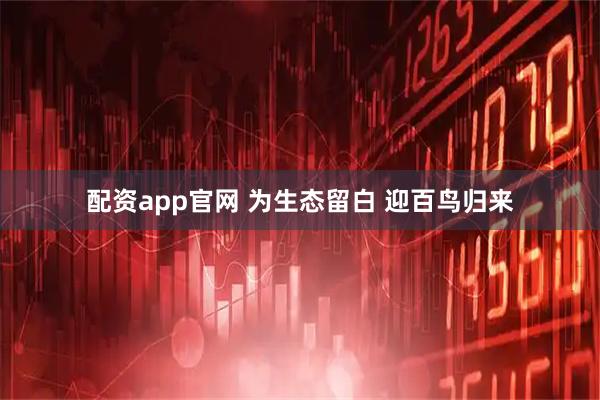 配资app官网 为生态留白 迎百鸟归来